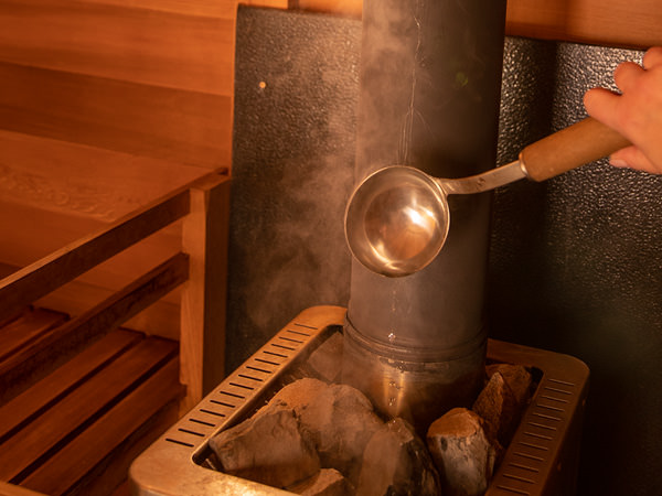 Sauna Wood Heater Steam